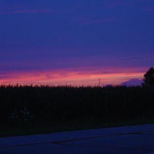 Meet your Posher, Fritzy